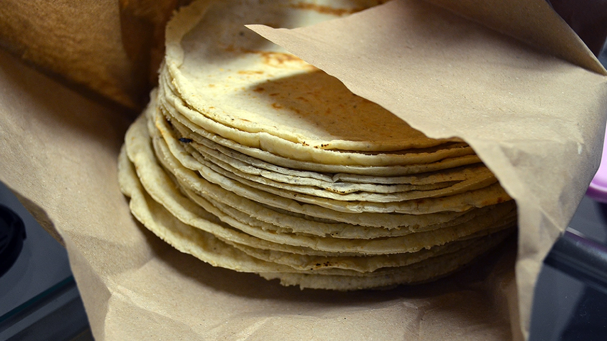 Sader descarta aumento en precio de la tortilla por encarecimiento del maíz
