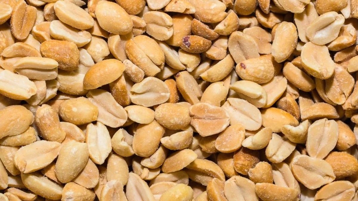 Estudio revela que consumir cacahuates tostados sin sal podría favorecer la respuesta cerebral