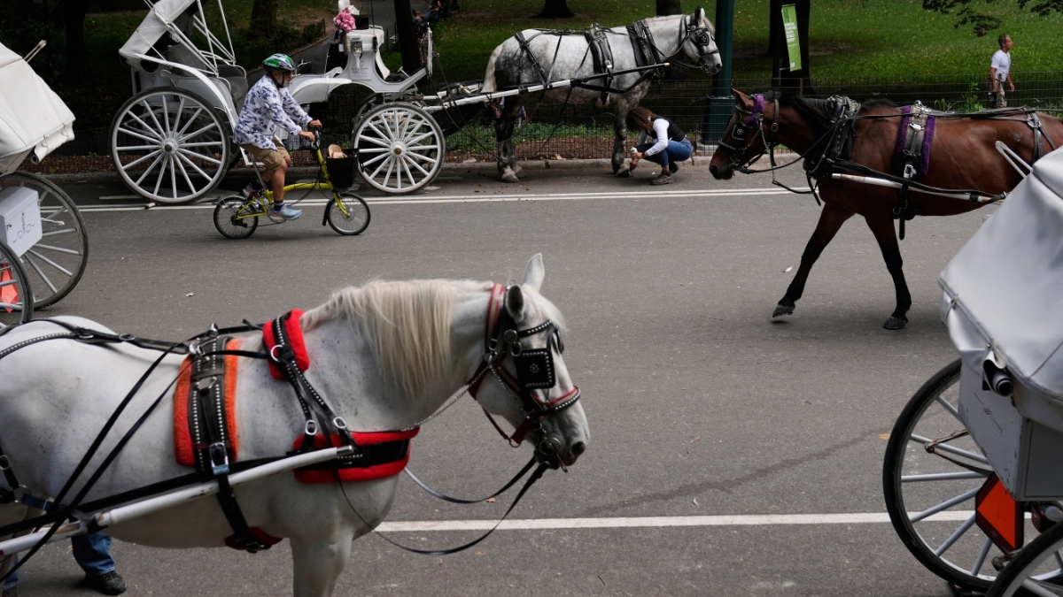 Nueva York busca prohibir los carruajes tirados por caballos en Central Park