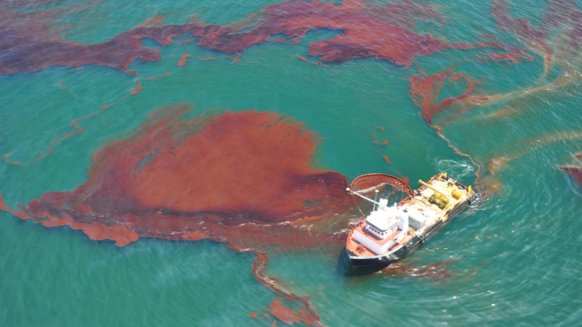 Derrame de Deepwater Horizon redujo hasta 63.5% la fauna marina en el Golfo de México