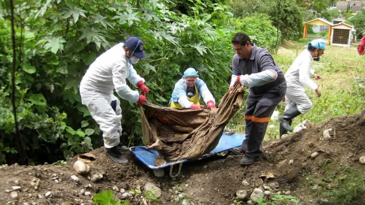 Fiscalías estatales reportan 651 fosas clandestinas en 2025; la FGR solo reconoció 32
