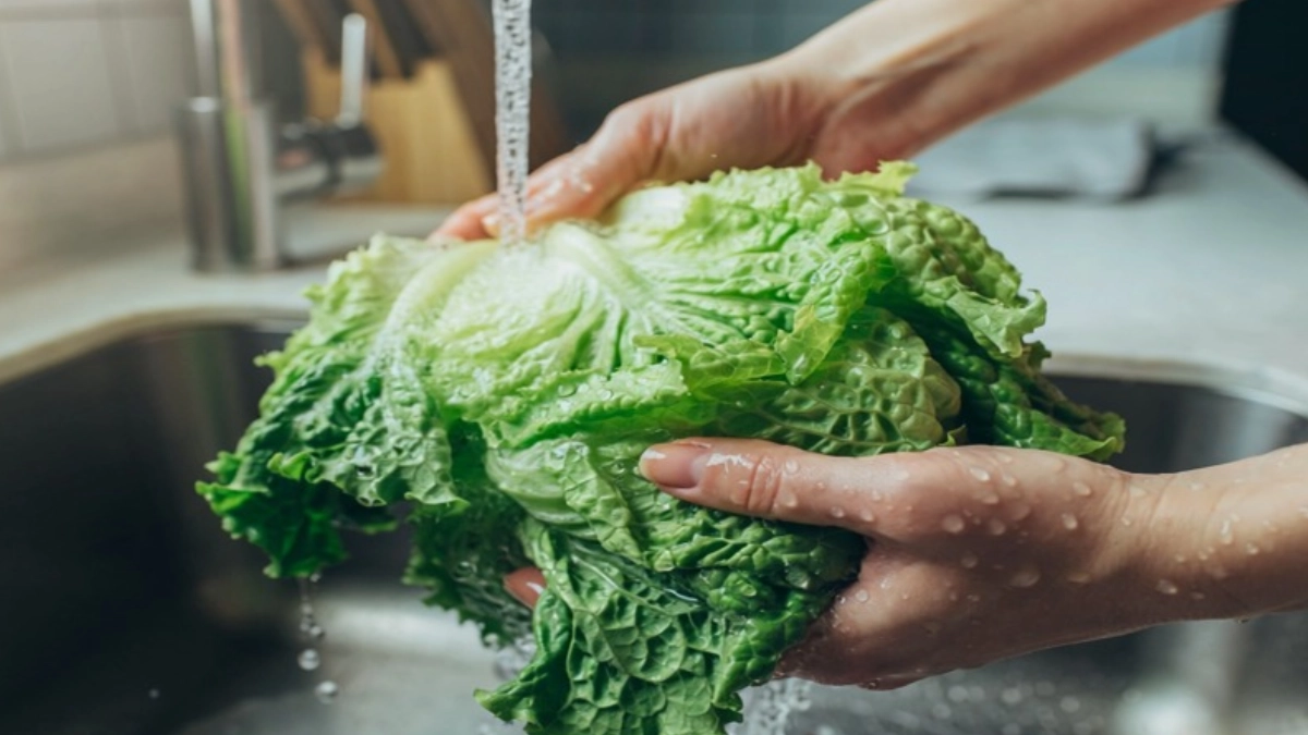 Cofepris descarta evidencia concluyente de que productos mexicanos originaran brotes de Salmonella y Cyclospora en Estados Unidos