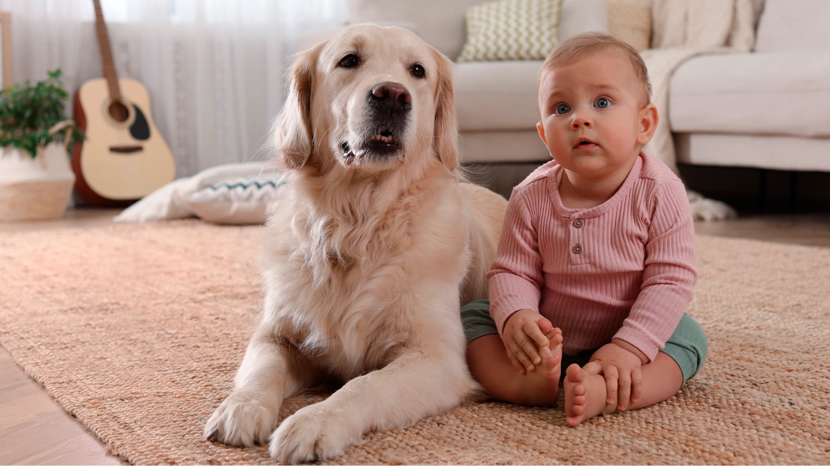 Mexicanos gastan más en alimento para mascotas que en otros productos familiares
